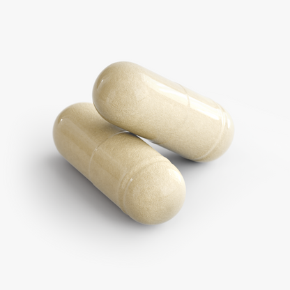 GUT HEALTH | 60 CAPSULES